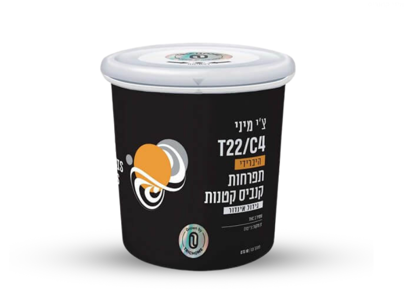 קנאביס רפואי פחית תפרחת צ'י מיני - T22/C4 - Chi טריכום יום\לילה - היברידי