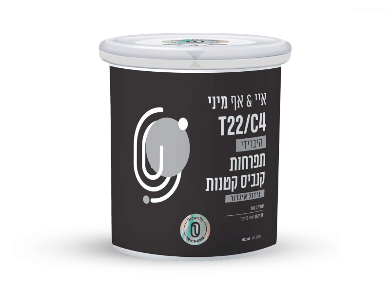 קנאביס רפואי תפרחת איי&אף מיני - T22/C4 - A&F Mini טריכום יום\לילה - היברידי