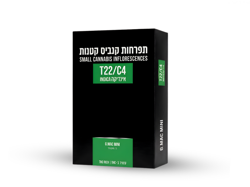 קנאביס רפואי תפרחת ג'י.מאק מיני - T22/C4 - G.MAC Mini גרין האוס לילה - אינדיקה