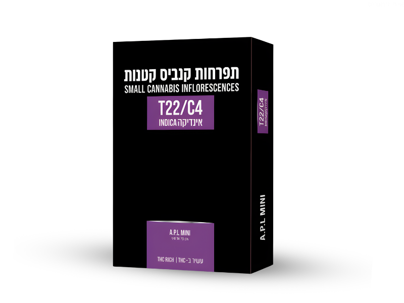 קנאביס רפואי תפרחת איי.פי.אל מיני - T22/C4 - A.P.L Mini גרין האוס לילה - אינדיקה