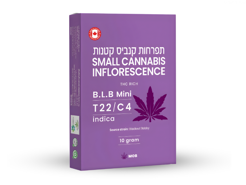 קנאביס רפואי תפרחת בי אל בי מיני - T22/C4 - B.L.B Mini מאסטרס אוף באדס לילה - אינדיקה