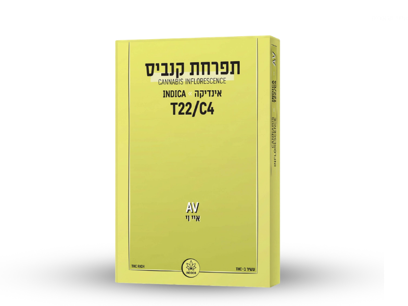 קנאביס רפואי תפרחת איי.וי - T22/C4 - AV קנטק לילה - אינדיקה