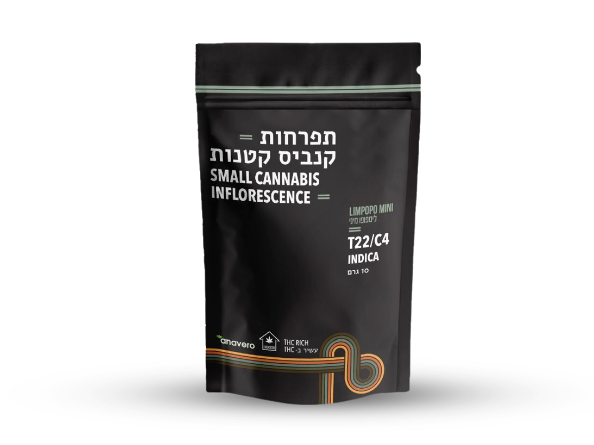 קנאביס רפואי תפרחת לימפופו מיני - T22/C4 - Limpopo Mini קנטק לילה - אינדיקה