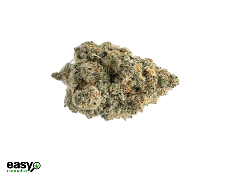 קנאביס רפואי תפרחת קוי - T22/C4 - Koi קול מדיקל יום\לילה - היברידי