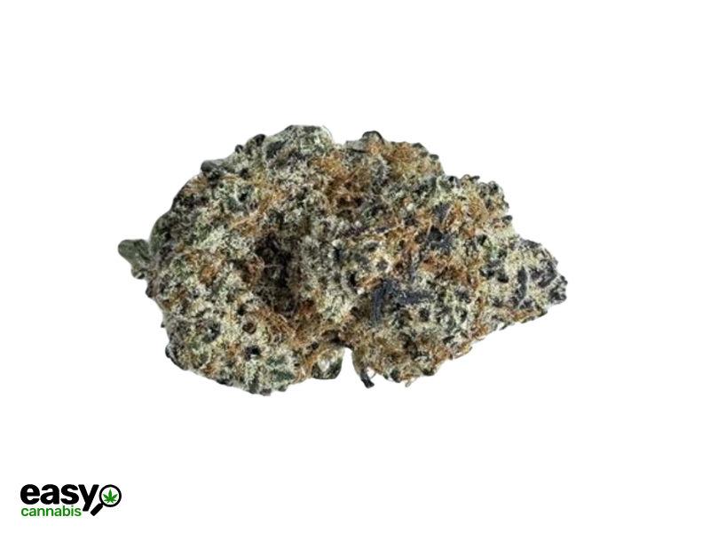 קנאביס רפואי תפרחת מיזו - T22/C4 - Mizo קול מדיקל לילה - אינדיקה