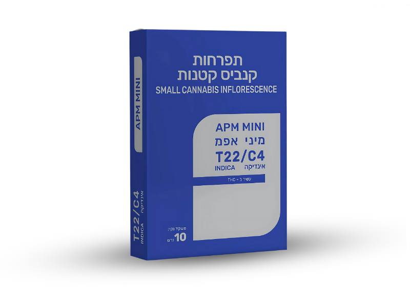 קנאביס רפואי תפרחת א.פמ מיני - T22/C4 - A.PM Mini גרין האוס לילה - אינדיקה