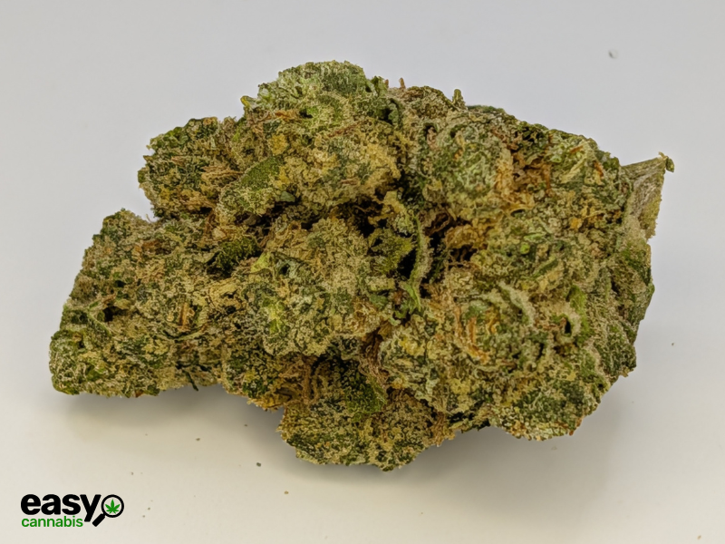 קנאביס רפואי תפרחת וודינג סי קיי - T22/C4 - Wedding CK פיס נטורלס יום\לילה - היברידי