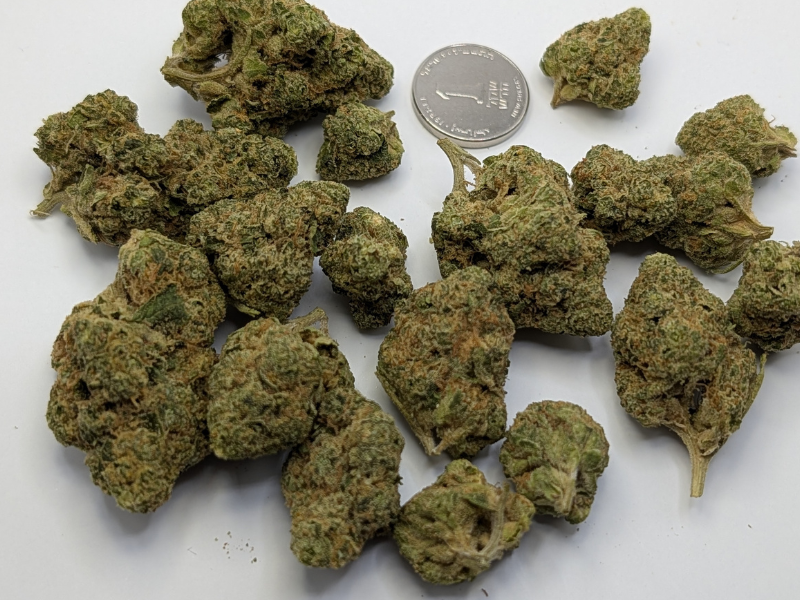 קנאביס רפואי תפרחת וודינג סי קיי - T22/C4 - Wedding CK פיס נטורלס יום\לילה - היברידי