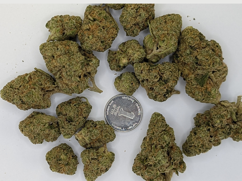 קנאביס רפואי תפרחת וודינג סי קיי - T22/C4 - Wedding CK פיס נטורלס יום\לילה - היברידי