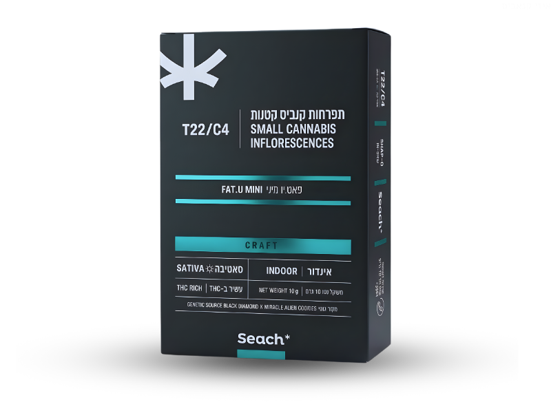 קנאביס רפואי תפרחת פאט יו מיני - T22/C4 - Fat.U Mini שיח מדיקל יום - סאטיבה