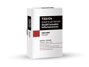 תפרחת זיקו מיני - T22/C4 - Ziko Mini