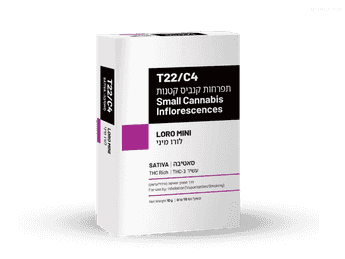 תפרחת לורו מיני - T22/C4 - Loro Mini