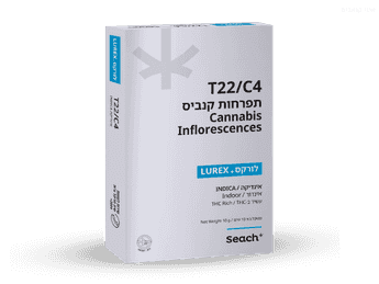 תפרחת לורקס - T22/C4 - Lurex