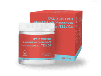 תפרחת סולו יוקי  - T22/C4 - Solo Yuki
