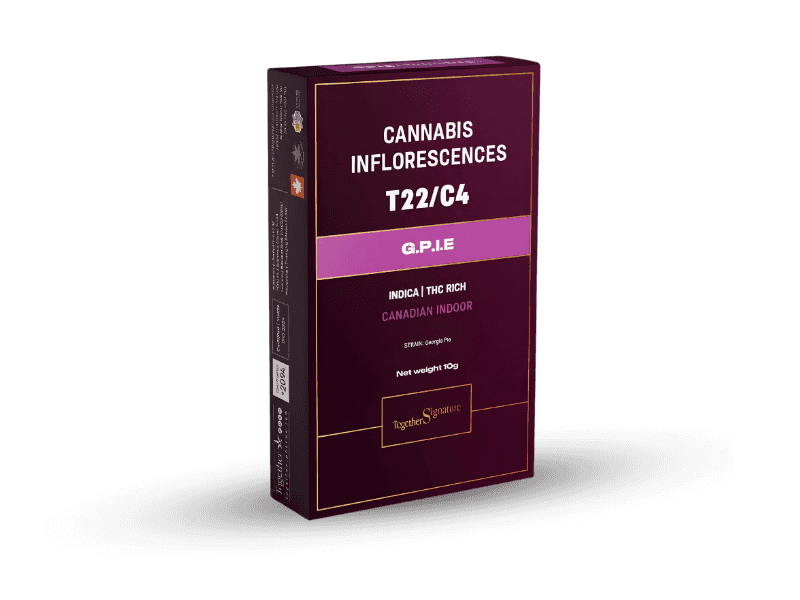 קנאביס רפואי תפרחת ג'י.פי.איי.אי - T22/C4 - G.P.I.E טוגדר פארמה לילה - אינדיקה