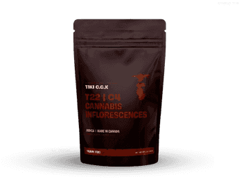 תפרחת טיקי סי.סי.אקס - T22/C4 - Tiki C.C.X