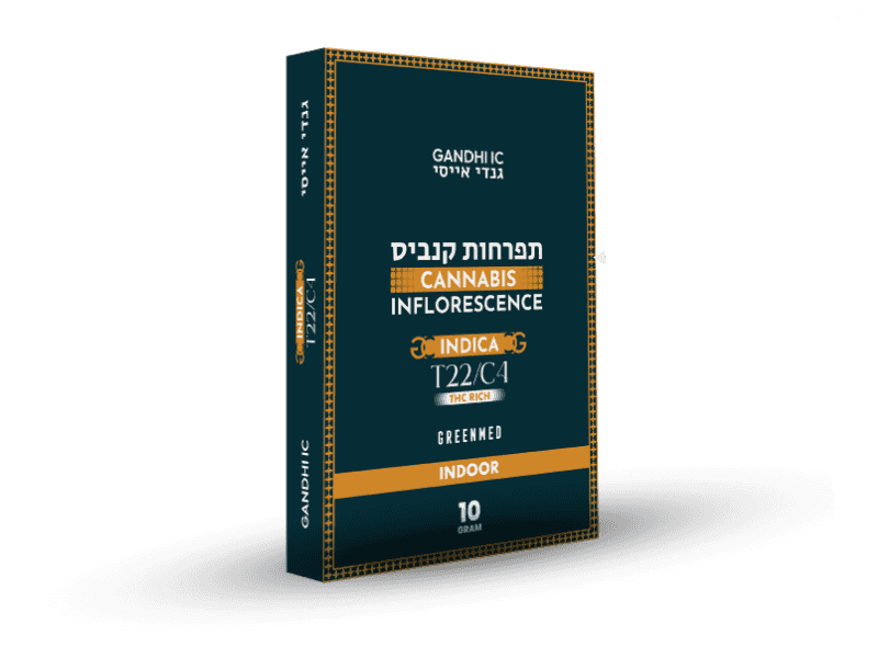 קנאביס רפואי תפרחת גנדי איי.סי - T22/C4 - Gandhi IC גרינמד לילה - אינדיקה