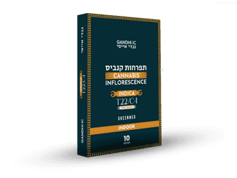 תפרחת גנדי איי.סי - T22/C4 - Gandhi IC