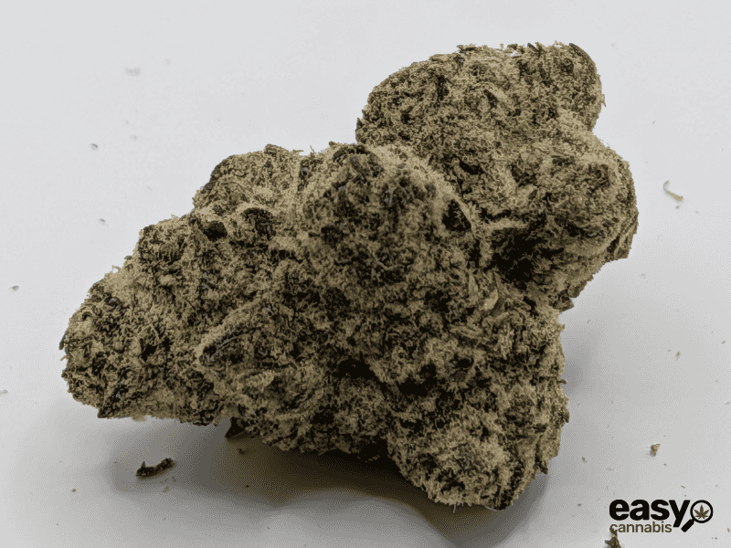 קנאביס רפואי תפרחת אם איי  - T22/C4 - MA פלאנטק מדיקל יום\לילה - היברידי