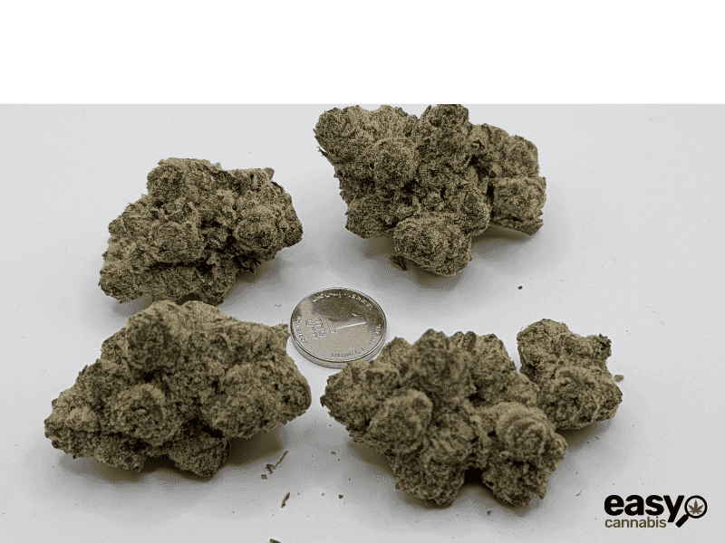 קנאביס רפואי תפרחת אם איי  - T22/C4 - MA פלאנטק מדיקל יום\לילה - היברידי