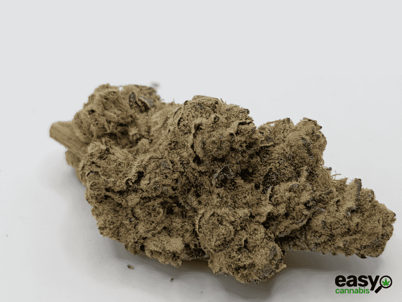 קנאביס רפואי תפרחת טי איי  - T22/C4 - TA פלאנטק מדיקל לילה - אינדיקה