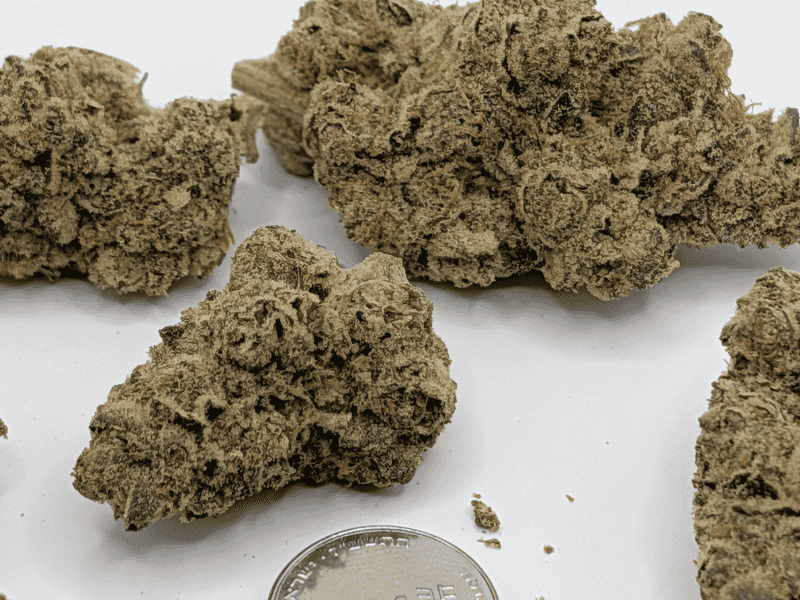 קנאביס רפואי תפרחת טי איי  - T22/C4 - TA פלאנטק מדיקל לילה - אינדיקה