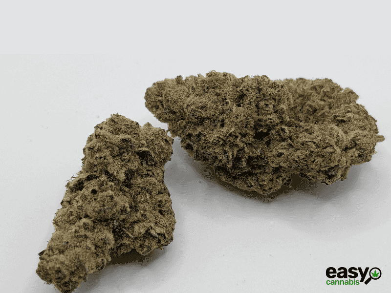 קנאביס רפואי תפרחת טי איי  - T22/C4 - TA פלאנטק מדיקל לילה - אינדיקה