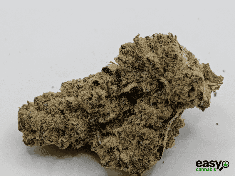 קנאביס רפואי תפרחת טי איי  - T22/C4 - TA פלאנטק מדיקל לילה - אינדיקה