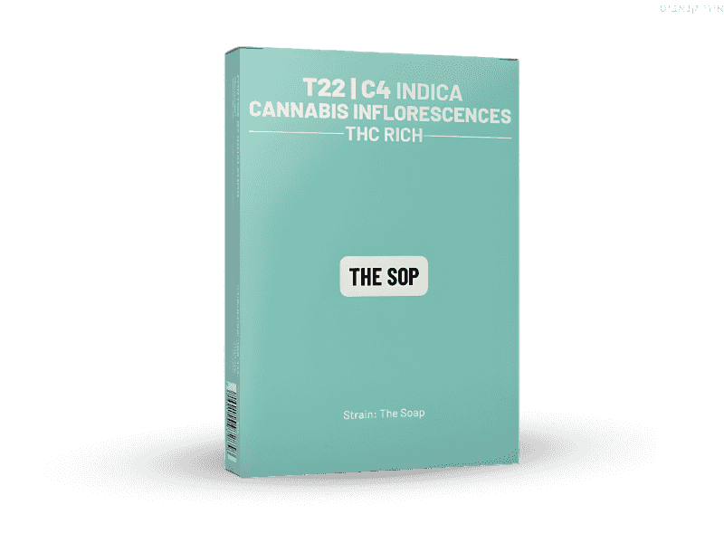 קנאביס רפואי תפרחת דה סופ - T22/C4 - The Sop קנדוק לילה - אינדיקה