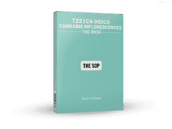 תפרחת דה סופ - T22/C4 - The Sop