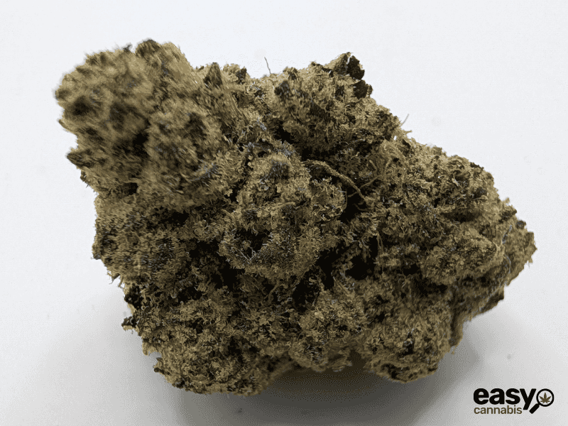 קנאביס רפואי תפרחת קיו - T22/C4 - Q פלאנטק מדיקל לילה - אינדיקה