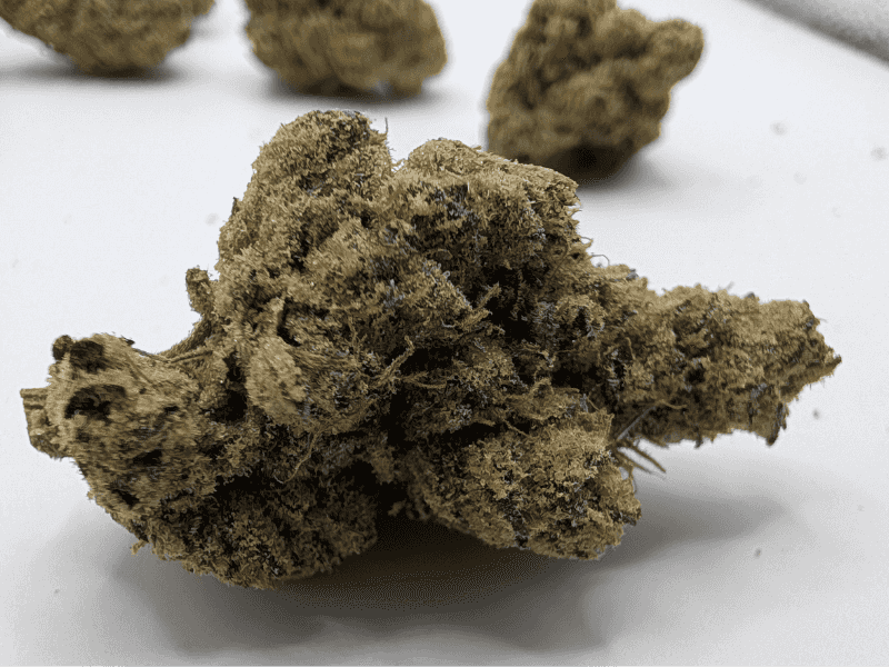 קנאביס רפואי תפרחת קיו - T22/C4 - Q פלאנטק מדיקל לילה - אינדיקה