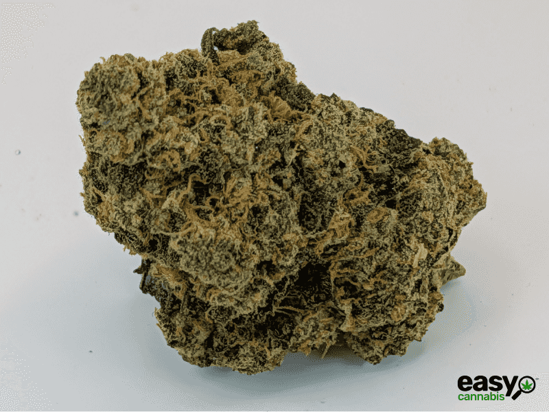 קנאביס רפואי תפרחת לאבו - T22/C4 - Labo טריכום יום\לילה - היברידי