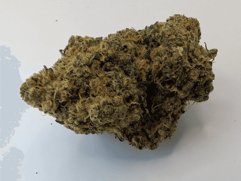 קנאביס רפואי תפרחת לאבו - T22/C4 - Labo טריכום יום\לילה - היברידי