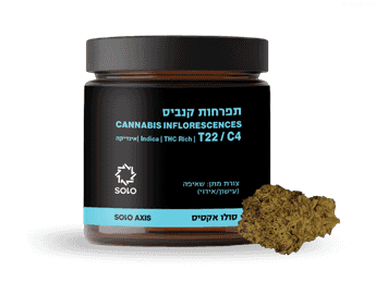 תפרחת סולו אקסיס - T22/C4 - SOLO AXIS