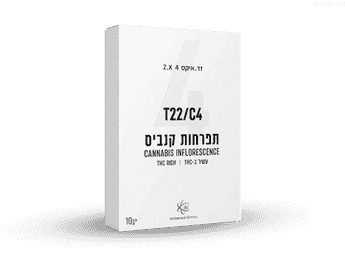 תפרחת זד.איקס 4 - T22/C4 - Z.X4