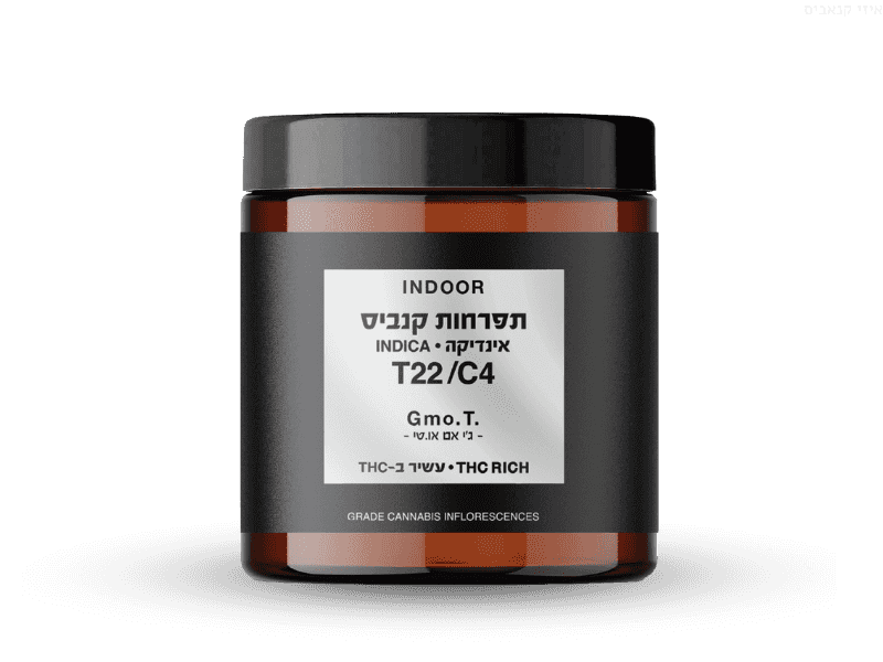 קנאביס רפואי תפרחת ג'י אם או.טי - T22/C4 - GMO.T קנאבר לילה - אינדיקה