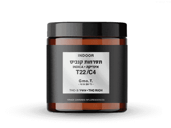תפרחת ג'י אם או.טי - T22/C4 - GMO.T