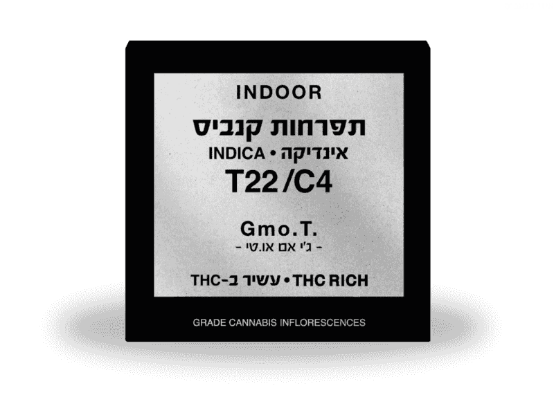 קנאביס רפואי תפרחת ג'י אם או.טי - T22/C4 - GMO.T קנאבר לילה - אינדיקה