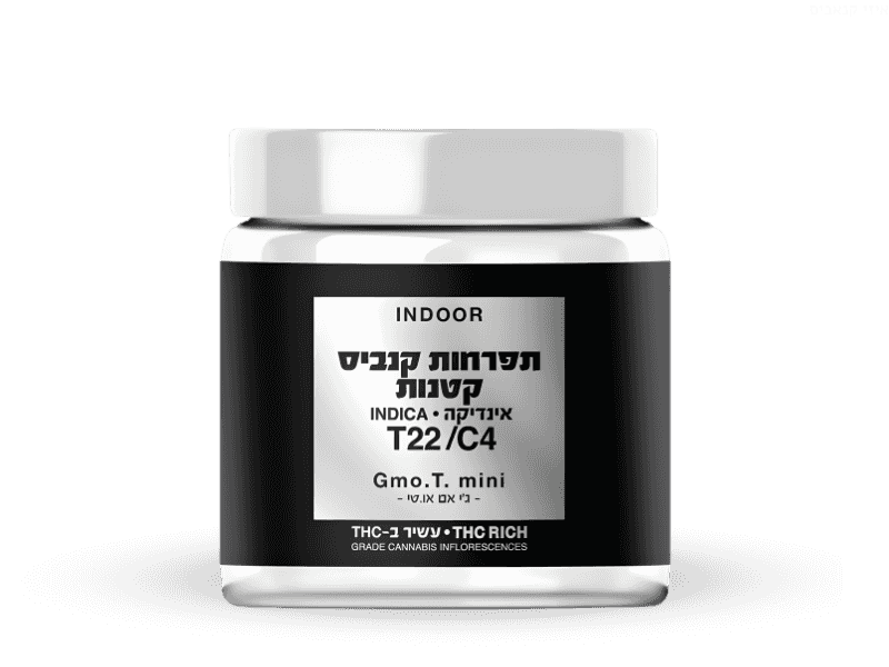 קנאביס רפואי תפרחת ג'י אם או.טי מיני - T22/C4 - GMO.T Mini קנאבר לילה - אינדיקה