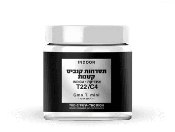 תפרחת ג'י אם או.טי מיני - T22/C4 - GMO.T Mini