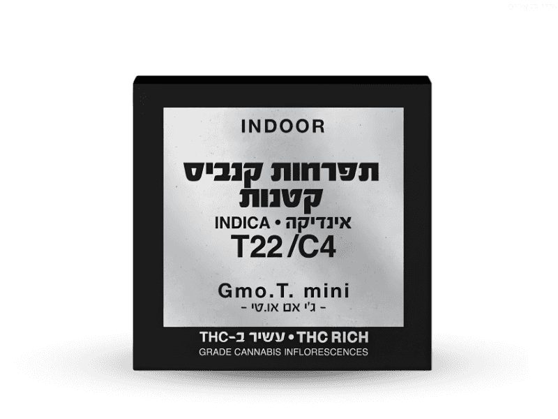 קנאביס רפואי תפרחת ג'י אם או.טי מיני - T22/C4 - GMO.T Mini קנאבר לילה - אינדיקה