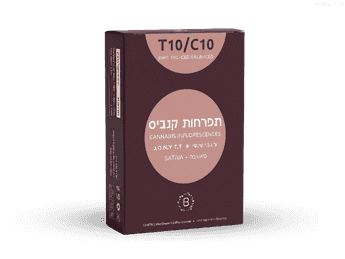 תפרחת ג'.ו.נ.י טי.טי - T10/C10 - J.O.N.Y T.T