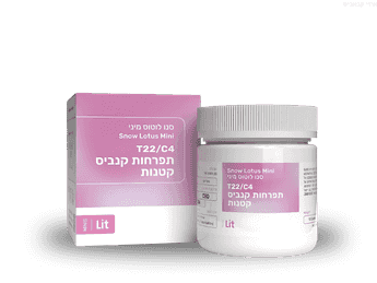 תפרחת סנואו לוטוס מיני - T22/C4 - Snow Lotus Mini