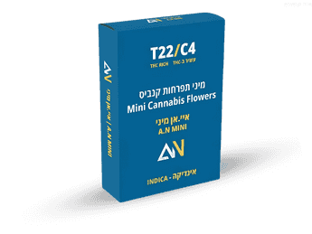 תפרחת איי.אן מיני - T22/C4 - A.N Mini
