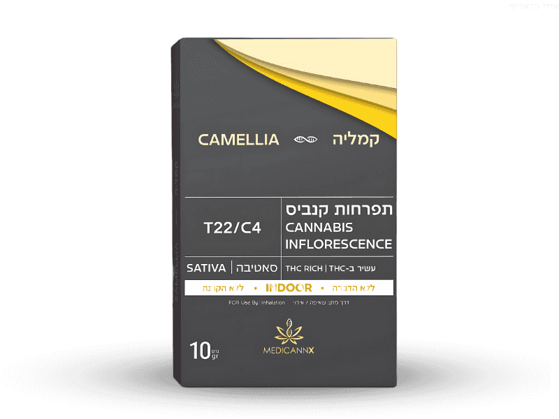 קנאביס רפואי תפרחת קמליה - T22/C4 - CAMELLIA מדיקן איקס יום - סאטיבה