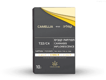 תפרחת קמליה - T22/C4 - CAMELLIA