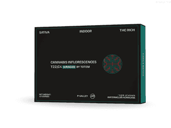 תפרחת ג'וראקאן - T22/C4 - Juracan