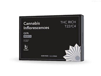 תפרחת ג'י.אף.איי - T22/C4 - GFA