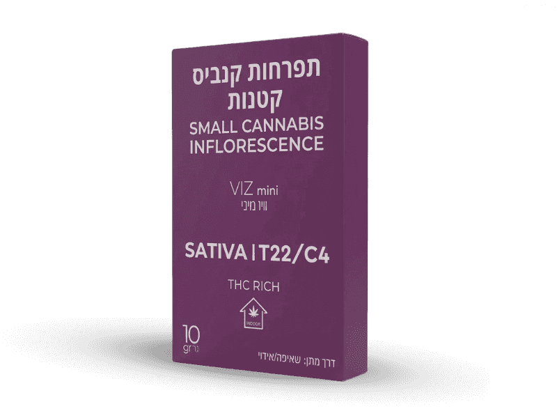קנאביס רפואי תפרחת וויז מיני - T22/C4 - Viz Mini קנטק יום - סאטיבה